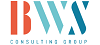 BWS Consulting Group GmbH BWS Consulting Group GmbH