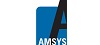 AMSYS GmbH & Co. KG AMSYS GmbH & Co. KG