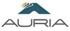 Auria Solutions GmbH Auria Solutions GmbH